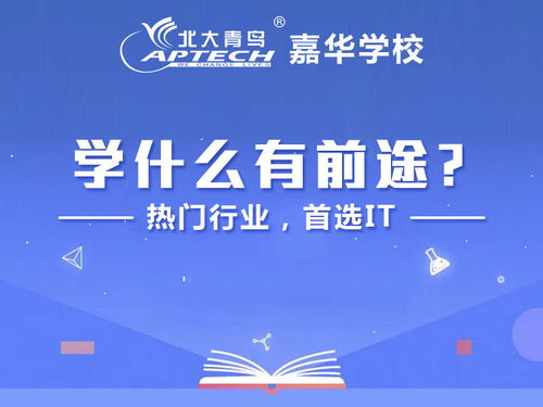 机会与平台 图灵科技招聘计算机软件开发实习生（深圳）